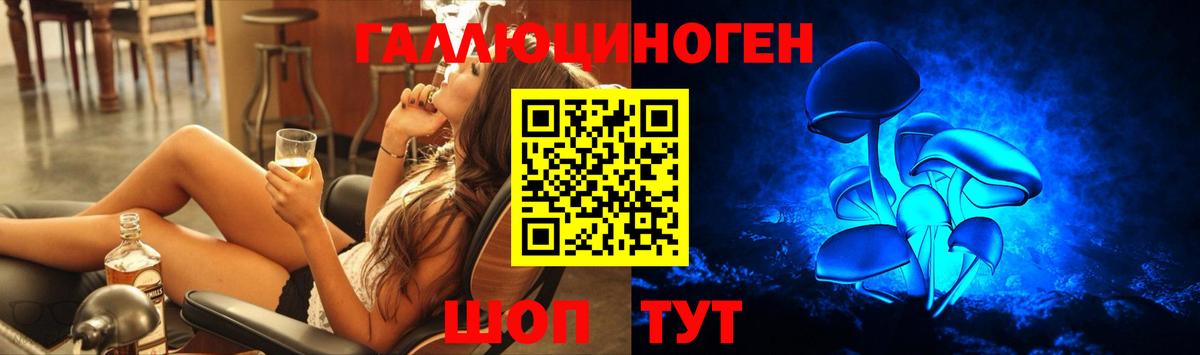 Фрязино  Псилоцибиновые грибы Psilocybine cubensis  Вход с VPN 